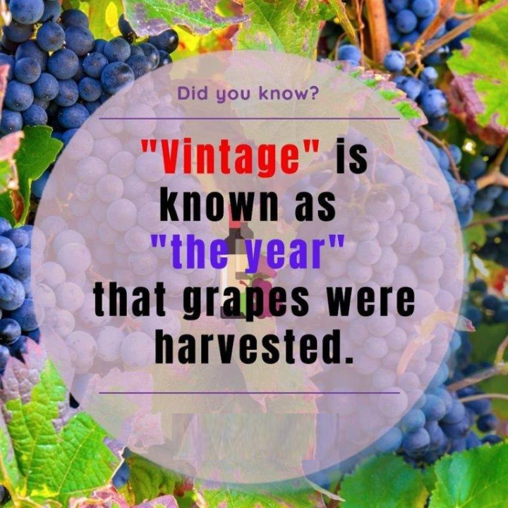 Meaning of "Vintage" Elleary Wine Learn Wine Making Education