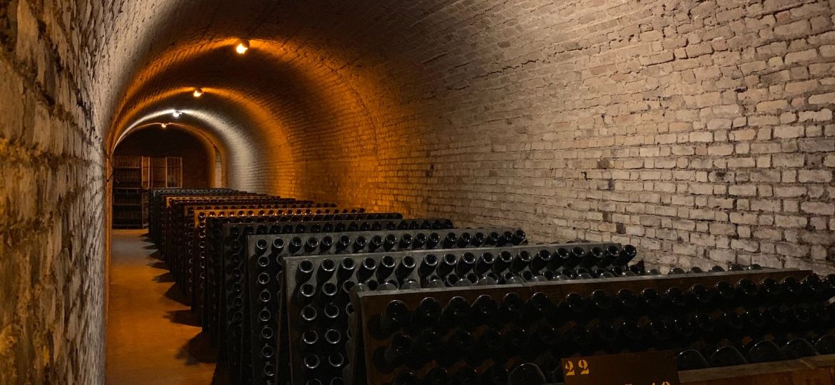 barrel room harvesting wine vintages napa valley karimi elleary
