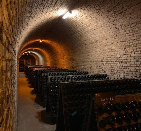 barrel room harvesting wine vintages napa valley karimi elleary