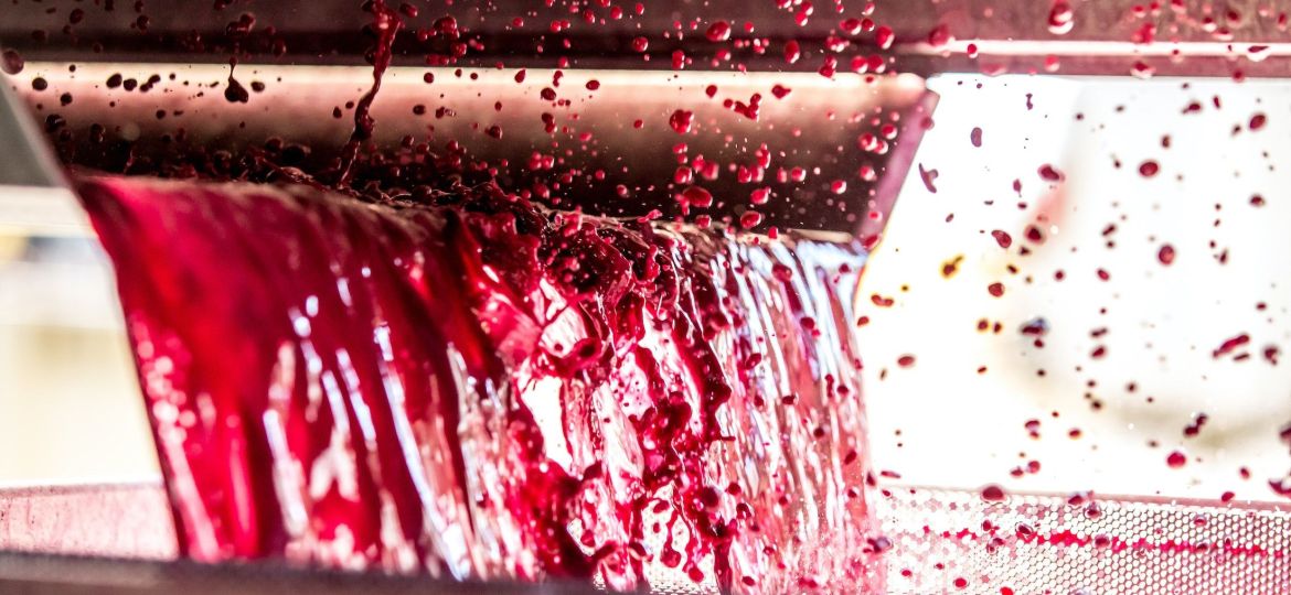 fine-napa-vino-vintages-grape-to-wine-journey