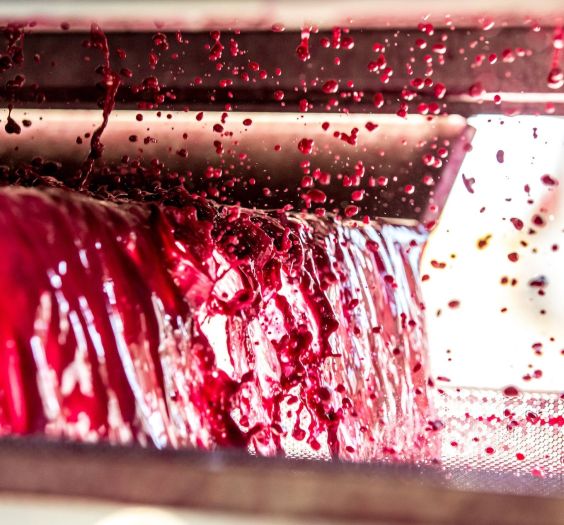 fine-napa-vino-vintages-grape-to-wine-journey