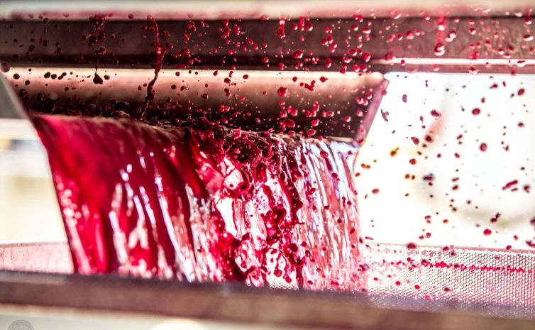 fine-napa-vino-vintages-grape-to-wine-journey
