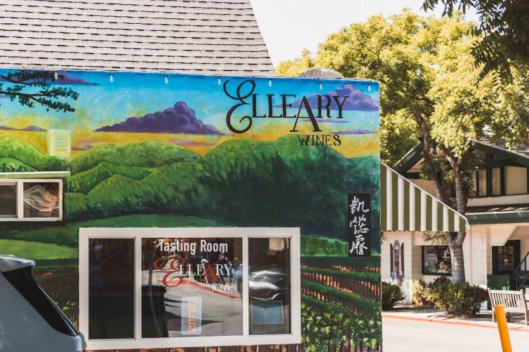 Tasting room Elleary wine